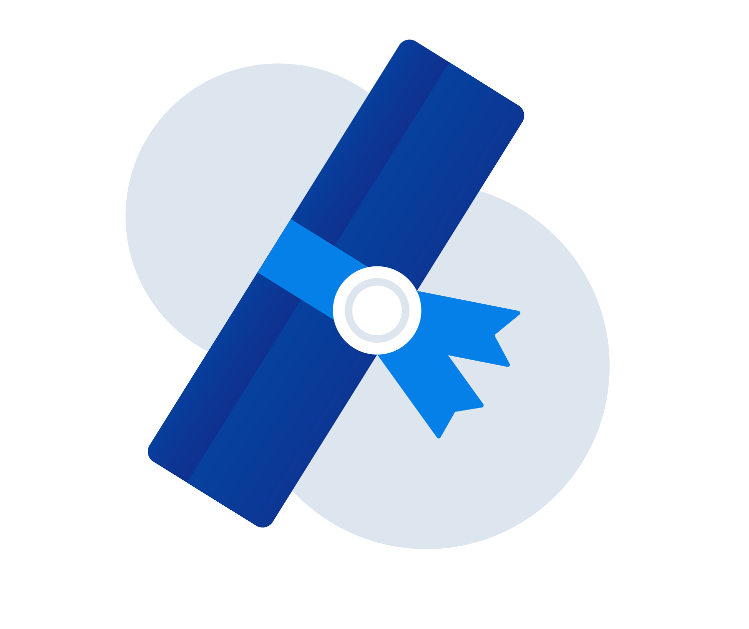 Visa Licensing logo icon